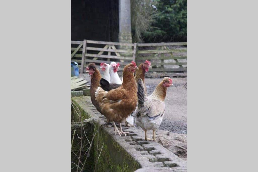 Stones Cottage Farm, Nr Haworth, Family Friendly, Work Friendly, Gaming Barn, Crafting, Free Wifi, Free Parking, Ev Point Oxenhope Extérieur photo