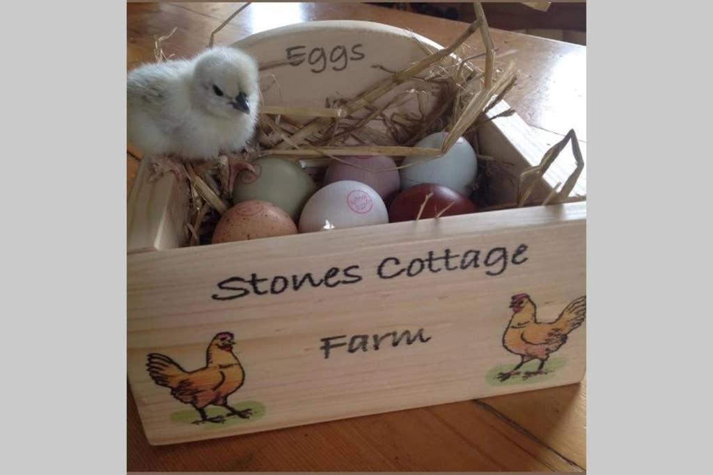 Stones Cottage Farm, Nr Haworth, Family Friendly, Work Friendly, Gaming Barn, Crafting, Free Wifi, Free Parking, Ev Point Oxenhope Extérieur photo